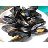 Restaurant Ready® Whitewater Mussel® - 5 lb. bag